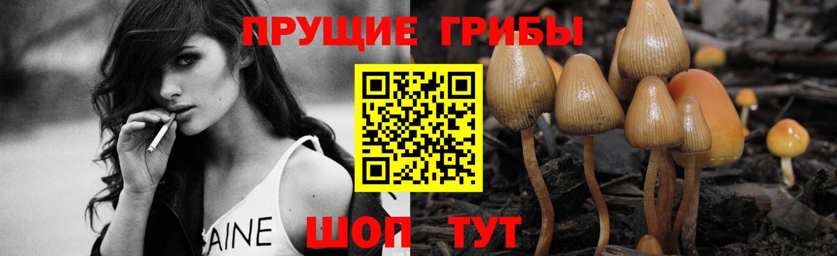 Галлюциногенные грибы Psilocybine cubensis  Вход с VPN  Псилоцибиновые грибы MAGIC MUSHROOMS  Белебей 